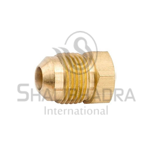 Brass Flare Seal Plug Manufacturer in Danapur