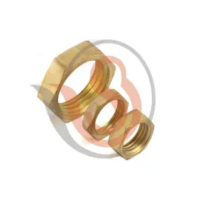 Check Nut Manufacturer in Sagar