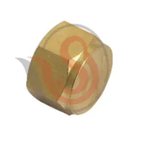 Hex Dead Nut Manufacturer in Barasat
