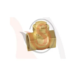 Non Return Valve Horizontal Manufacturer in Imphal