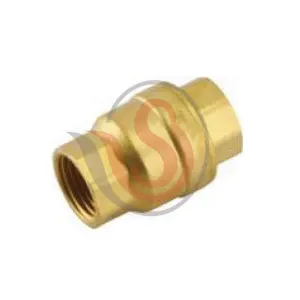 Non Return Valve Vertical Spring Type Manufacturer in Barasat